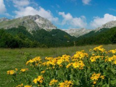 Le tradizioni di maggio in Abruzzo
