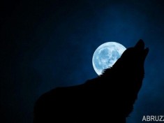 Voci da Sant’Omero tra fantasmi e lupi mannari
