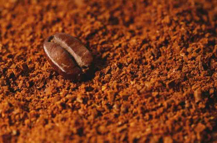 Allarme caffè troppa ocratossina A