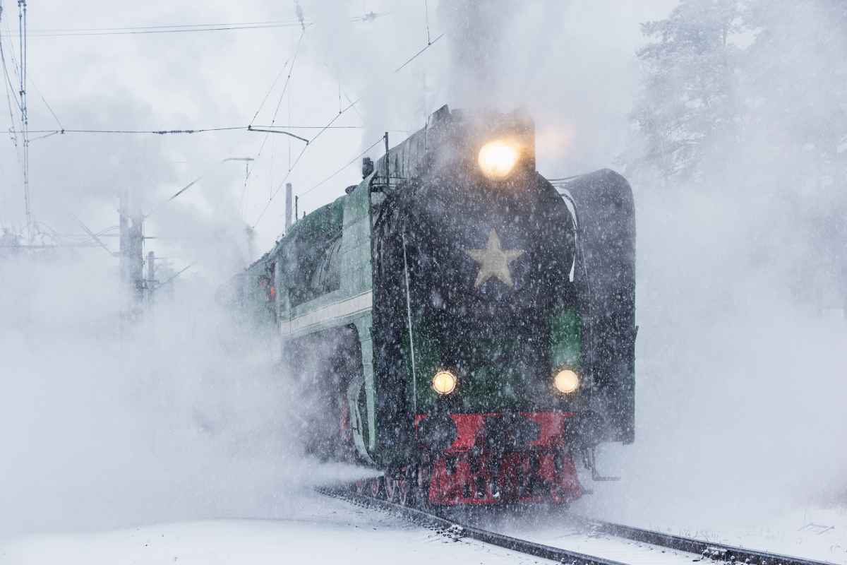 Treno immerso nella neve