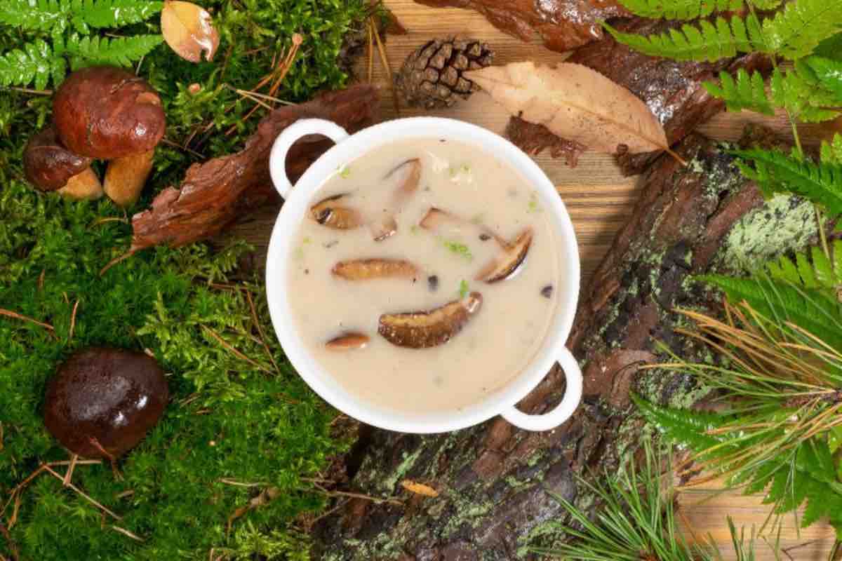 Crema porcini scatta il richiamo